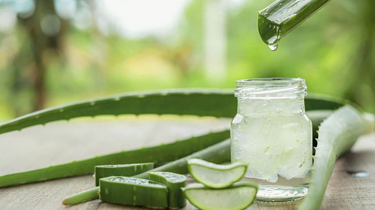 فواید-آلوئه-ورا-برای-پوست